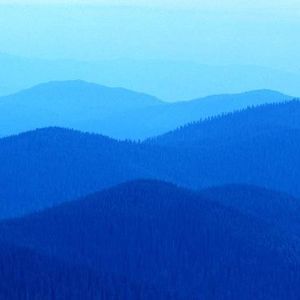 Meet your Posher, Mohamed